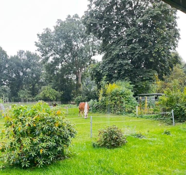 Urlaub In Unserem „Kleinen Haus“ Nindorf  Luaran gambar